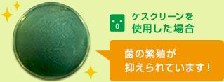 ケスクリーンを使用した場合 菌の繁殖が抑えられています！