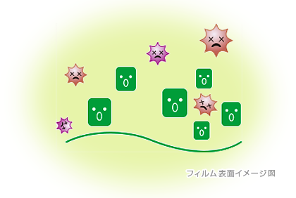 フィルム表面イメージ図